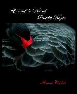 Lacasul de Vise al Lebedei Negre Ileana Ciuhat book cover