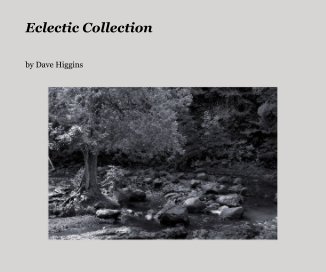 Eclectic Collection book cover