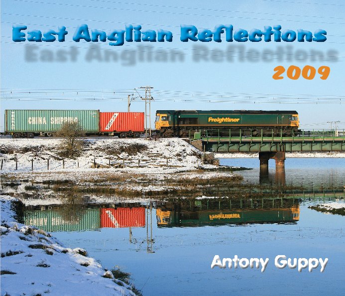 View East Anglian Reflections 2009 by Antony Guppy