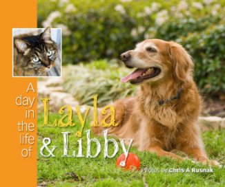 A Day in the Life of Layla & Libby book cover