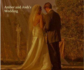 Amber and Josh's Wedding book cover