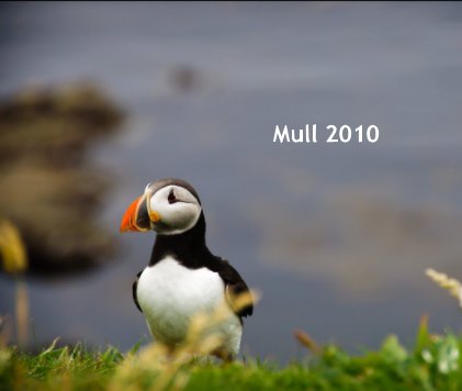 Mull 2010 book cover