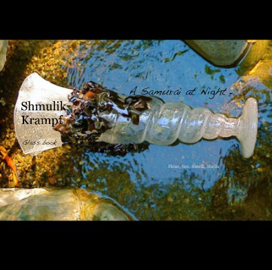 A Samurai at Night - Shmulik Krampf book cover