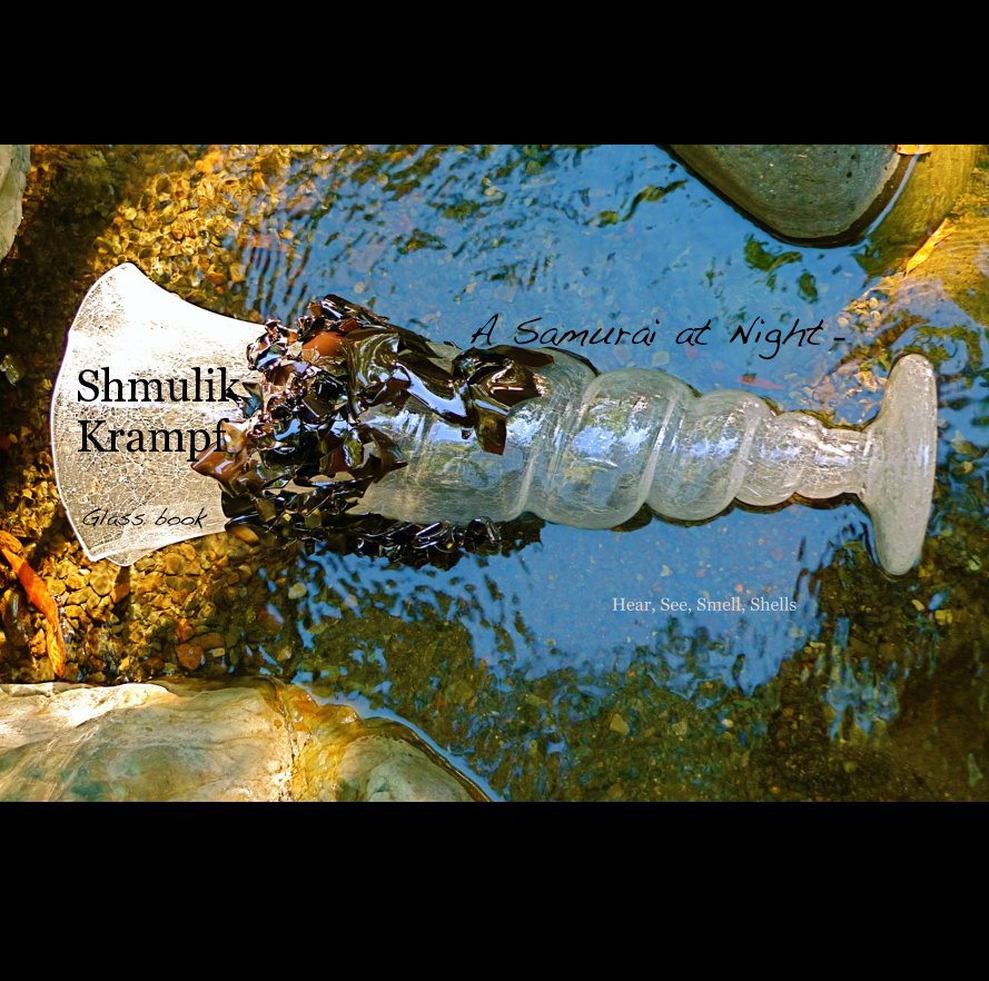 Visualizza A Samurai at Night - Shmulik Krampf di refusalon