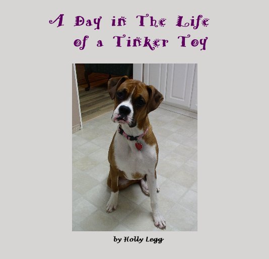 Bekijk A Day in The Life of a Tinker Toy op Holly Legg