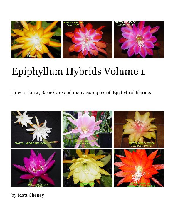 Ver Epiphyllum Hybrids Volume 1 por Matt Cheney