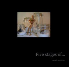 Five stages of book cover