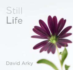 Still Life book cover