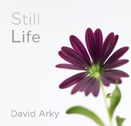 View Still Life by David Arky