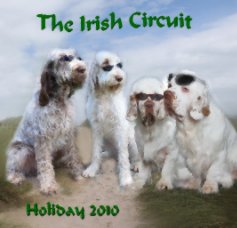 The Irish Circuit 2010 book cover