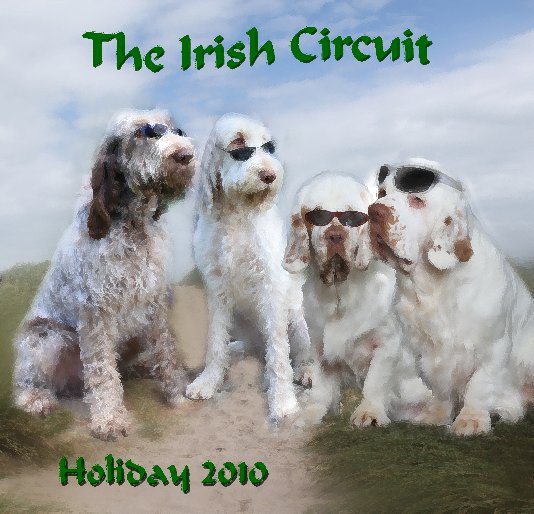 View The Irish Circuit 2010 by Winston Sutherland