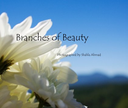 Branches of Beauty book cover
