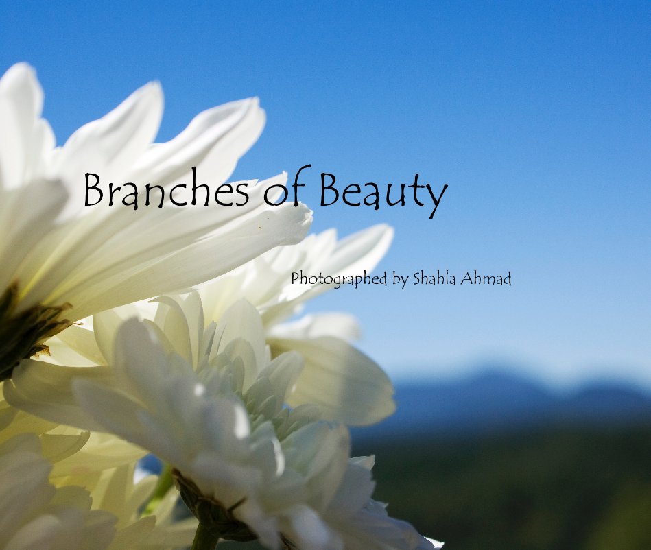 View Branches of Beauty by Photographed by Shahla Ahmad
