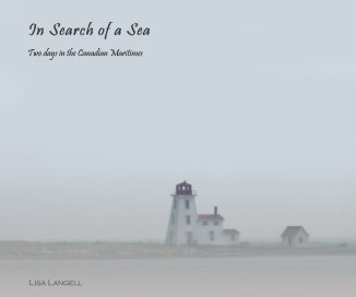 In Search of a Sea book cover