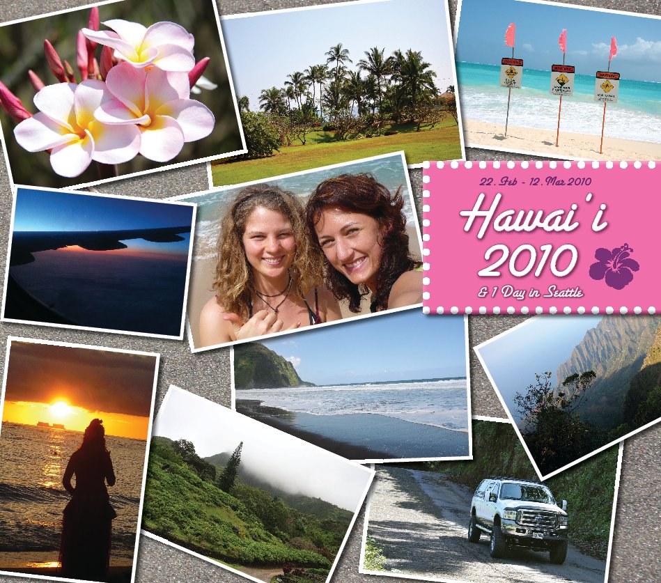 View Hawai'i 2010 by Katharina Schneider