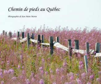 Chemin de pieds au Québec book cover