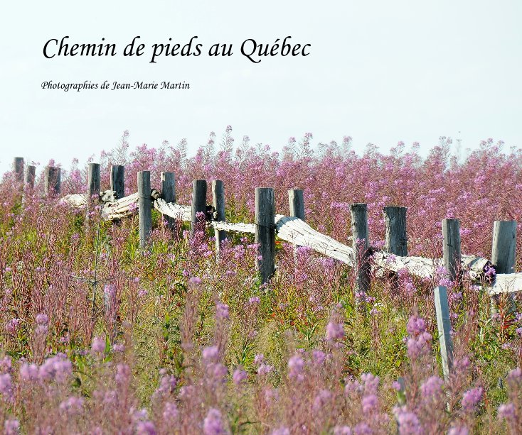 View Chemin de pieds au Québec by Jean-Marie Martin