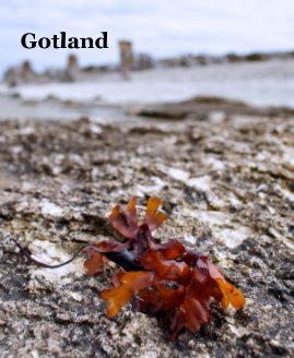 Gotland book cover