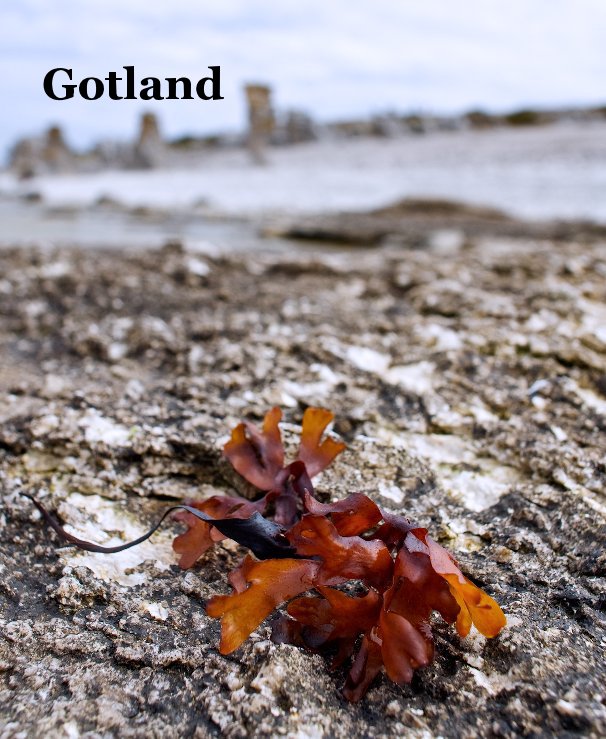View Gotland by Eleni Jeppesen Stratigentas, Georgios Stratigentas, Maria Björk