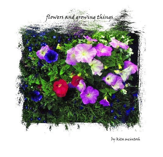 View flowers and growing things by kita mcintosh