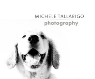 Michele Tallarigo book cover