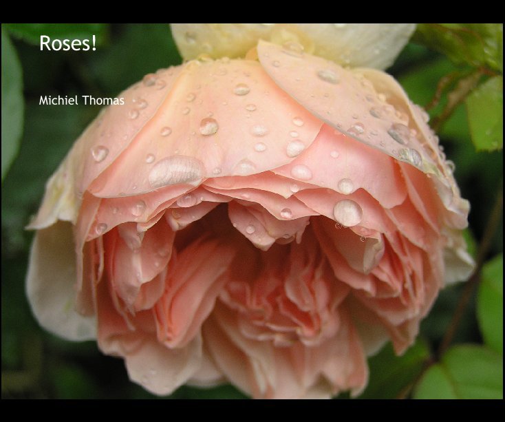 Ver Roses! por Michiel Thomas