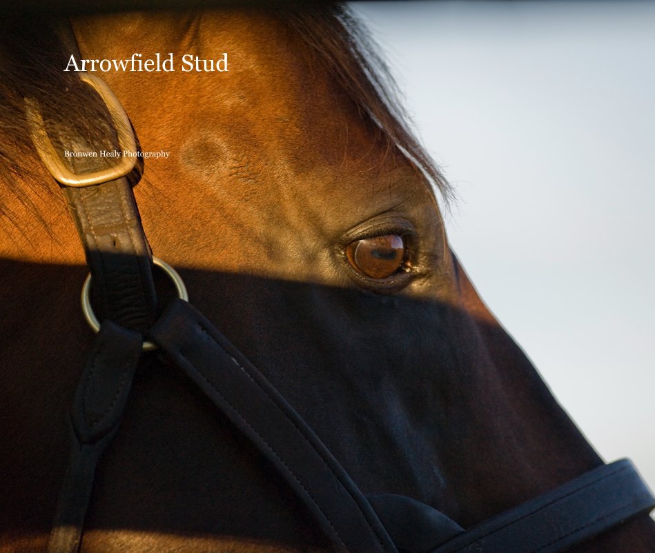 View Arrowfield Stud by Bronwen Healy Photography
