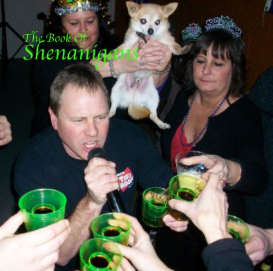 The Book Of Shenanigans book cover