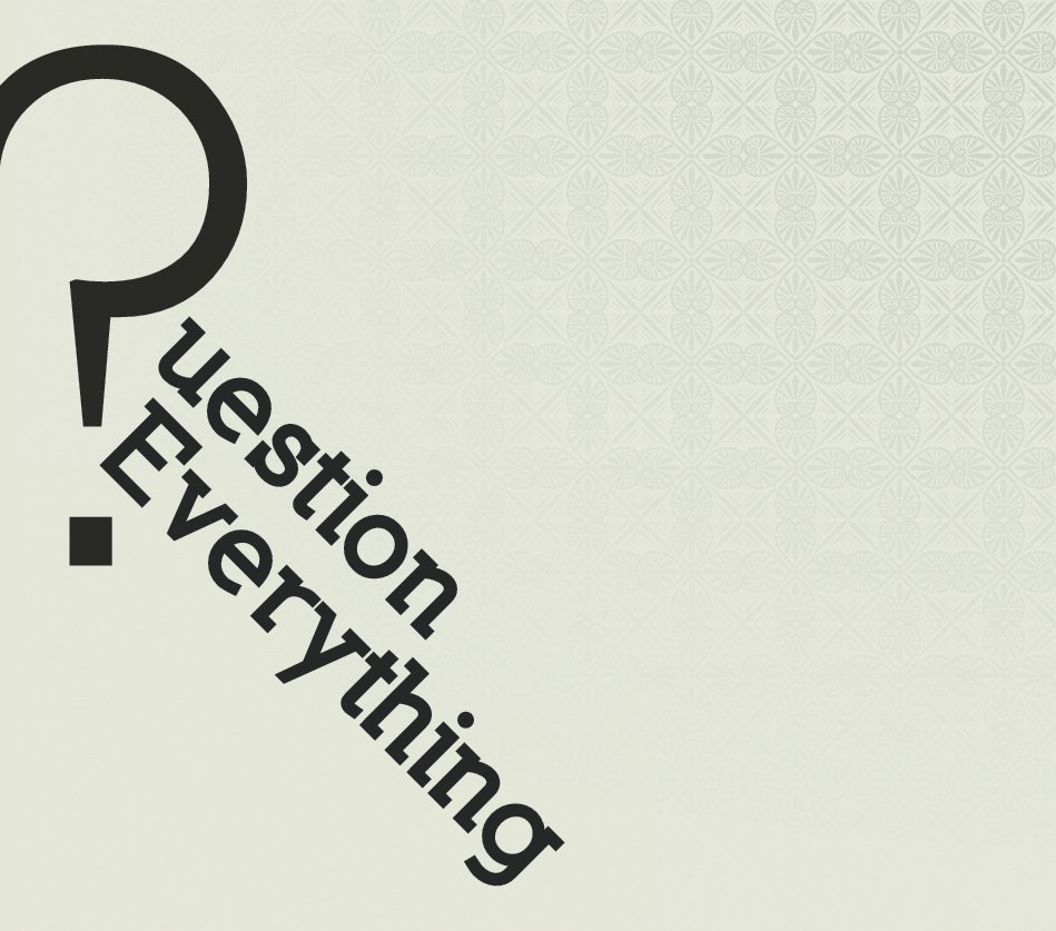 View Question Everything by Ben Steer