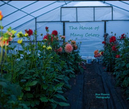 The House of Many Colors book cover