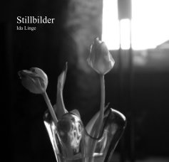 Stillbilder book cover