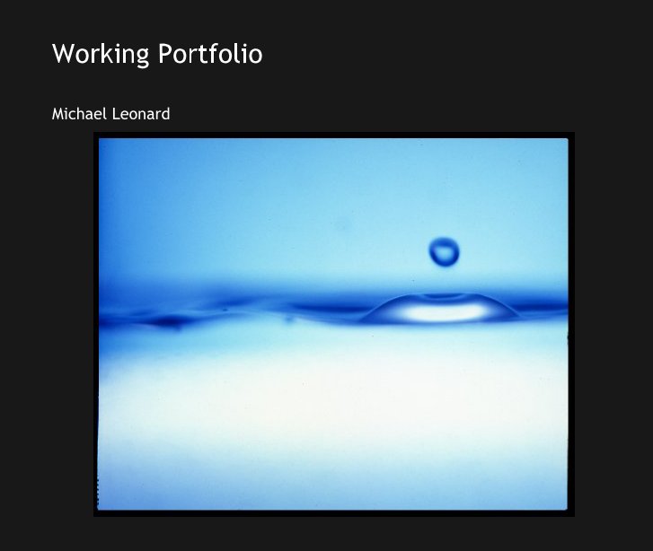 Bekijk Working Portfolio op Michael Leonard