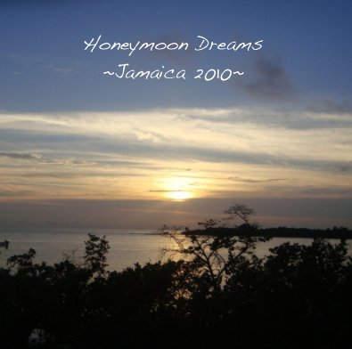 Honeymoon Dreams ~Jamacia 2010~ book cover