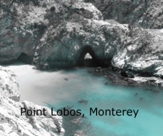 Point Lobos, Monterey book cover