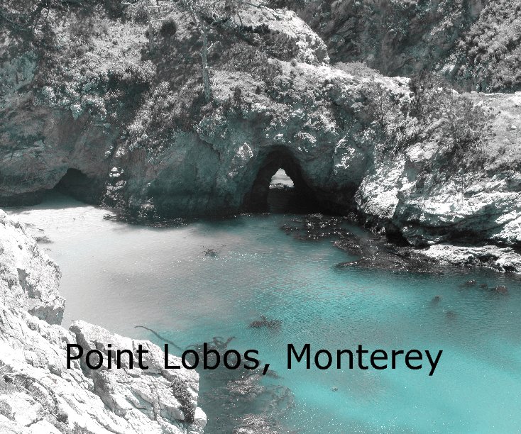 Ver Point Lobos, Monterey por carawong