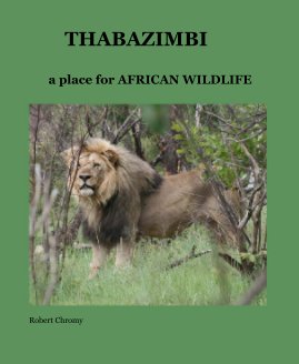 THABAZIMBI book cover