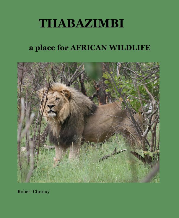 View THABAZIMBI by Robert Chromy