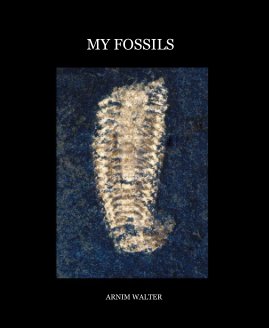 MY FOSSILS book cover
