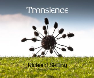 Transience book cover