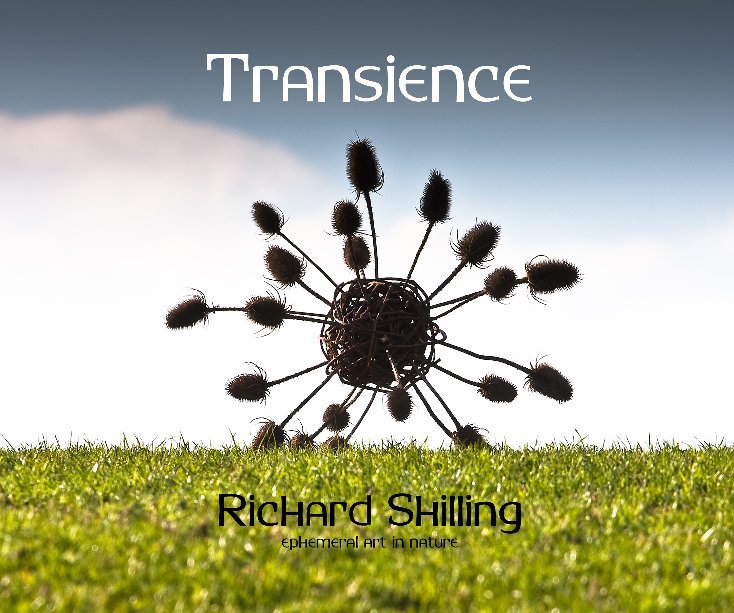 View Transience by Richard Shilling