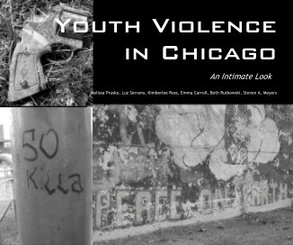 Youth Violence in Chicago book cover