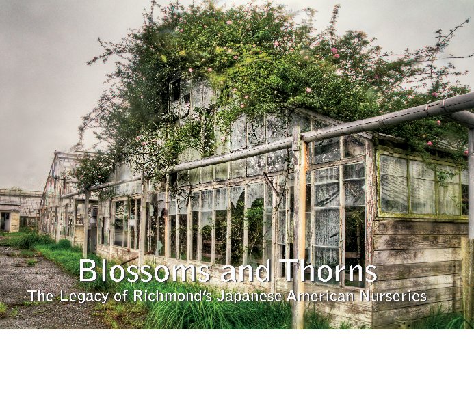View Blossoms and Thorns  (Osborn Cover) by Emily Anderson, Donna Graves, Michele Seville, Ellen Gailing, Matthew Matsuoka, Fletcher Oakes, and Ken Osborn