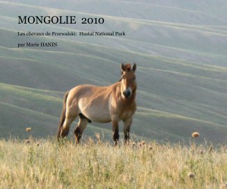 MONGOLIE 2010 book cover