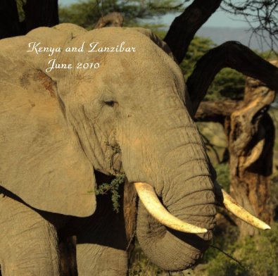 Kenya and Zanzibar book cover
