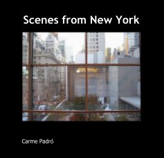 Scenes from New York book cover