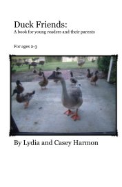 Duck Friends: A book for young readers and their parents book cover