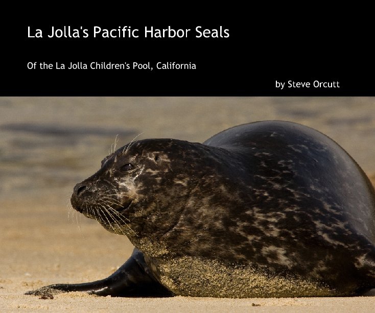 View La Jolla's Pacific Harbor Seals by Steve Orcutt