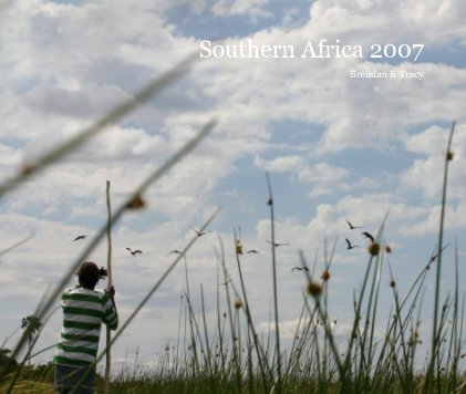 Southern Africa 2007 book cover