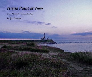 Island Point of View book cover