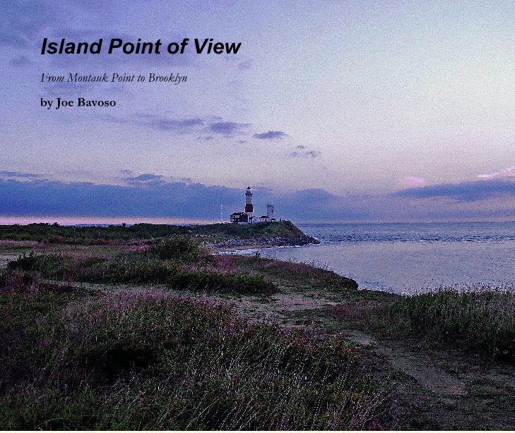 View Island Point of View by Joe Bavoso